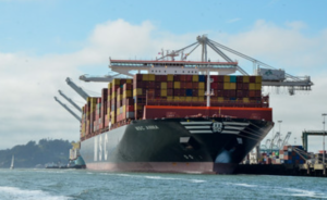 MSC Shipping Company